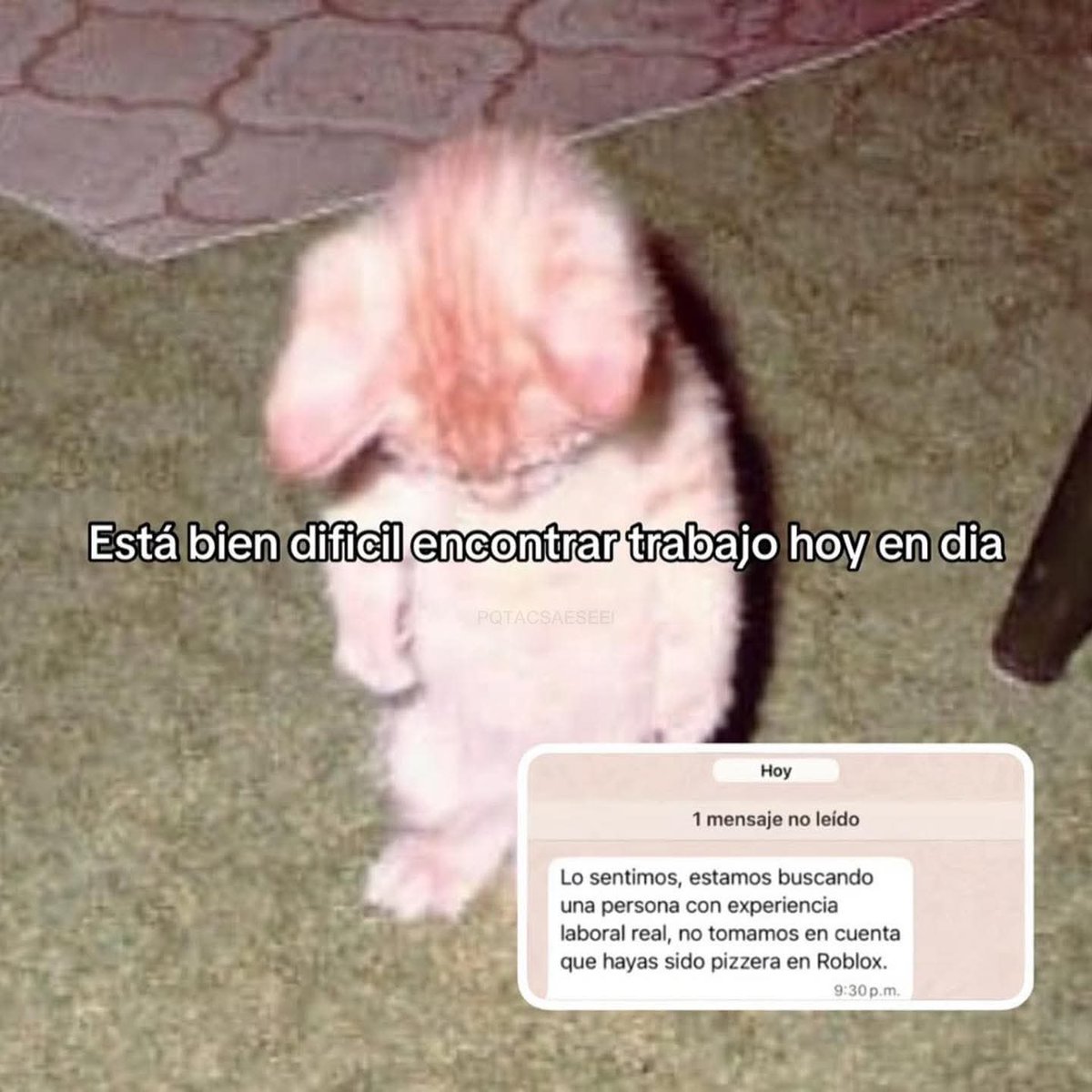 marcox_panda's tweet photo. @soyrobliii yo creo que por eso no nos dan chamba https://t.co/PE55e3PGCq