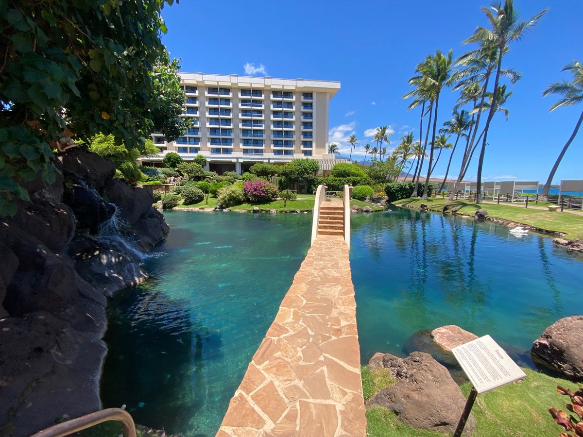 joleukemologist's tweet image. 🌊 Hang ten, heme fam!
#2025PPLC -is officially riding the wave! 🏄♂️🏄♀️
Massive mahalo to all our epic speakers, trailblazing sponsors, and the leukemia ohana for making this collab at Honolua Bay 🌺🤙
Huge shout-out to the organizing committee for steering this surfboard. #Lmsm…