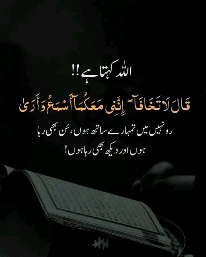 Assalam o alykum 
Good morning 🌅