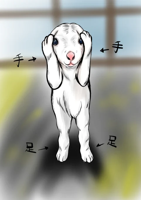 一瞬、謎の可愛い系生物が頭をか開けているのかと思ったけど違った。
