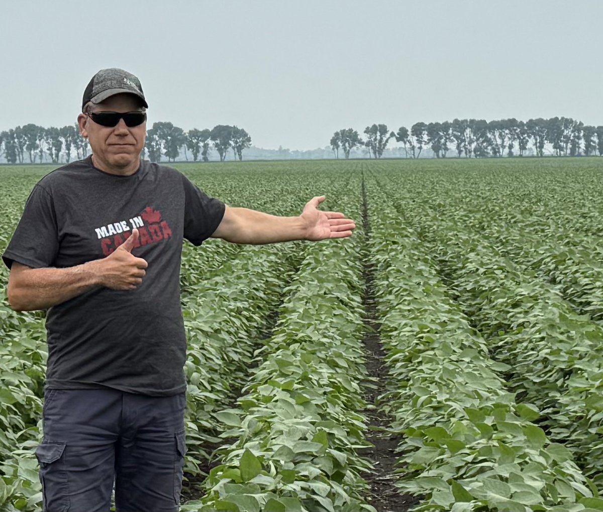 agassizmur1's tweet image. The power of Xtend weed control. I’ve been trying to find a reason to spray 2nd pass Rnd-up on soy, but can’t. It’s been another great year for the lasting power of this chemistry since Xtend sprayed at 1rst trifoliate. Thanks @Bayer4CropsCA @AgassizSeedFarm