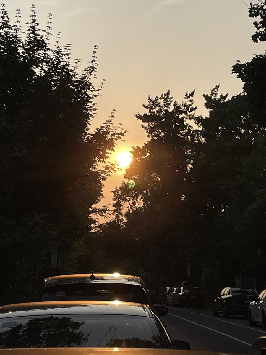 cbcradio2's tweet image. Having a slight headache during golden hour makes me feel like I’m dying of some mysterious brain thing but my death will be beautiful