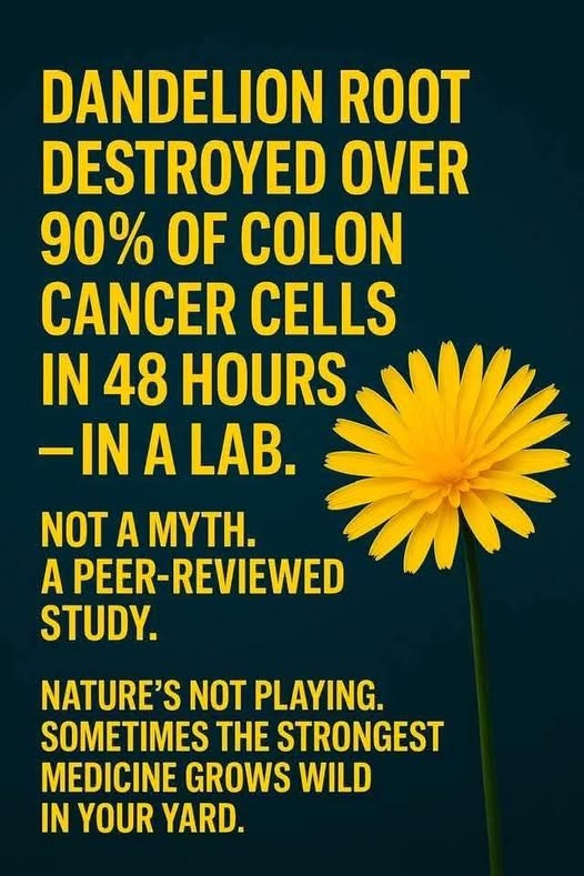 GalacticJack's tweet image. NOT SOMETIMES