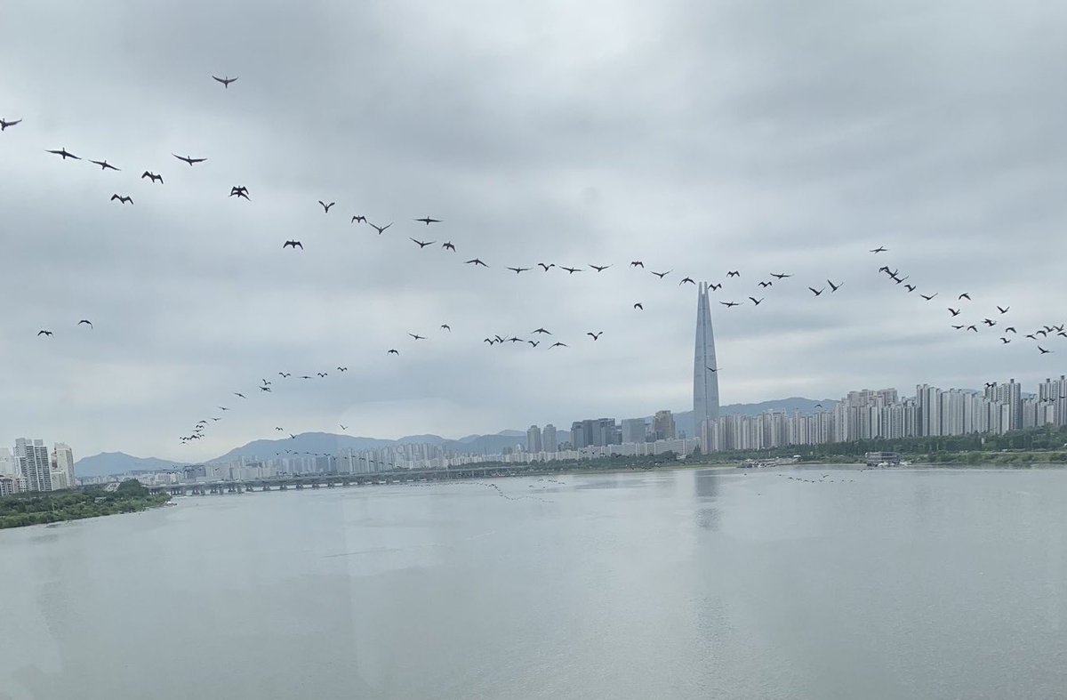한강 철교를 건너는 동안
잔물결이 새삼스레 눈에 들어왔다
얼마 안 되는 보증금을 빼서 서울을 떠난 후
낯선 눈으로 바라보는 한강,
어제의 내가 그 강물에 뒤척이고 있었다
한 뼘쯤 솟았다 내려앉는 물결들,
서울에 사는 동안 내게 지분이 있었다면
저 물결 하나일 거라는 생각이 들었다.