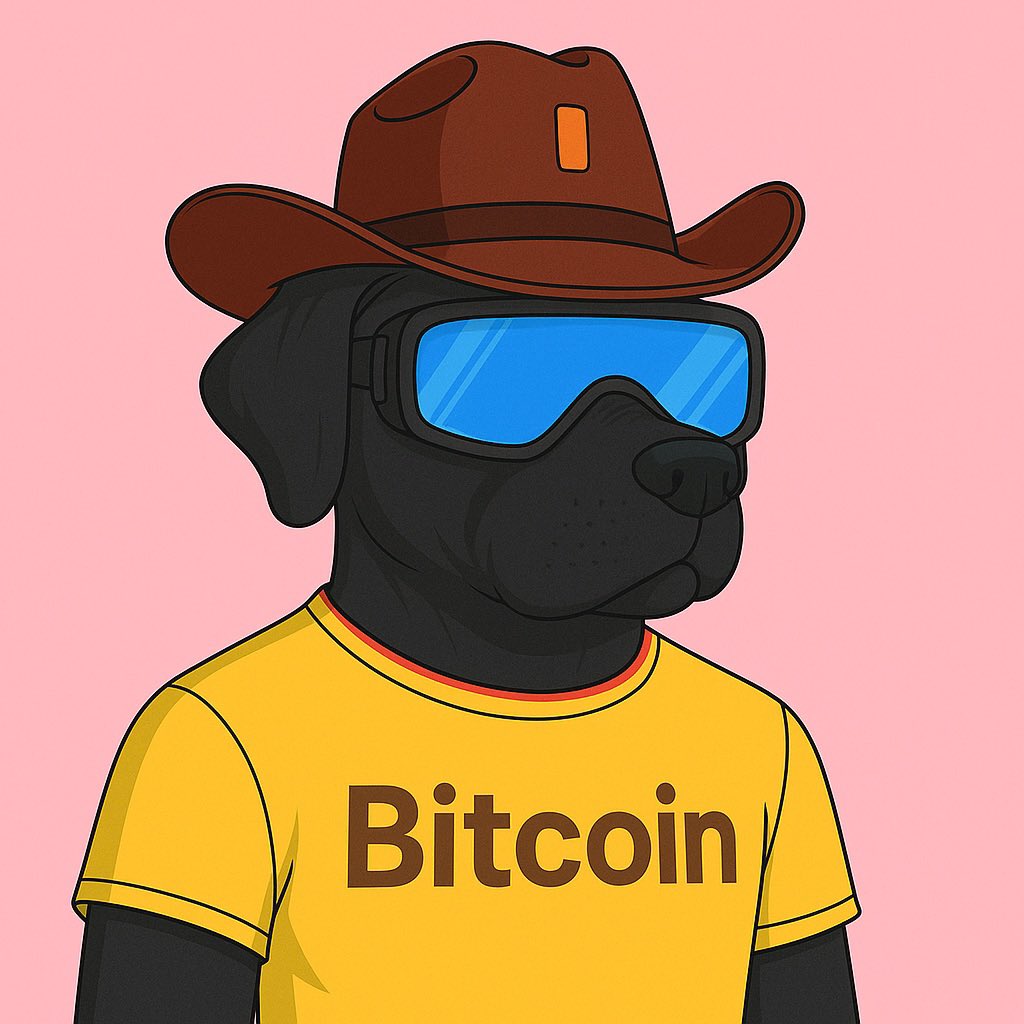 BuckDefi's tweet photo. Bitcoin will 10X 

Are you going to say you held

Or are you going to say you missed out https://t.co/cqQX2kW77W
