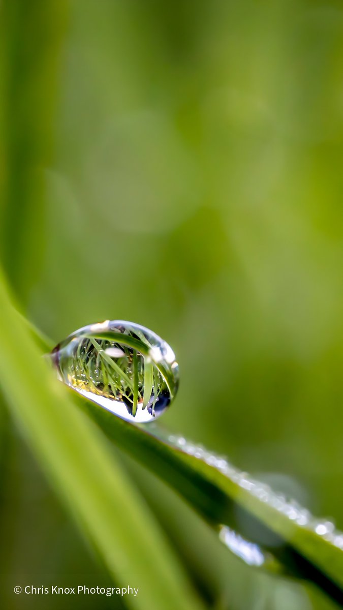 Life hurts, nature heals...