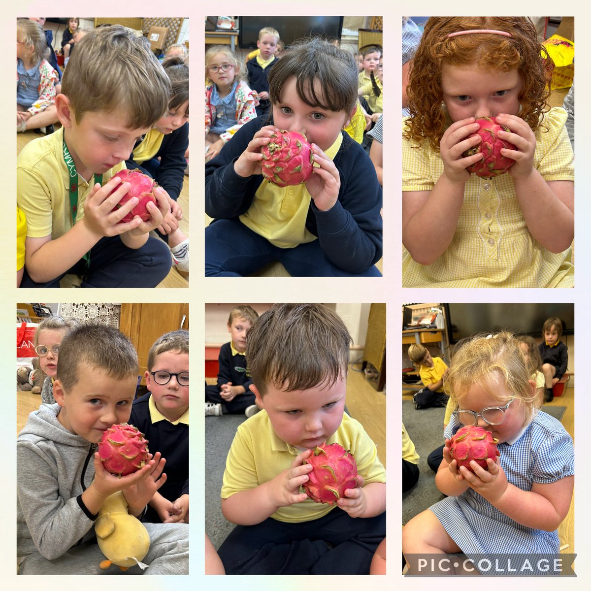 FPS_MrsBaker tweet media