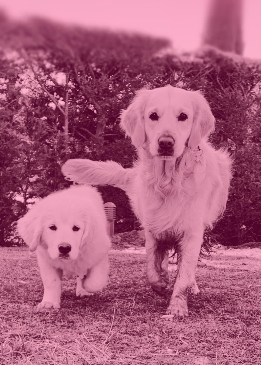 Filomena 🎗🇧🇪🇫🇷 tweet media