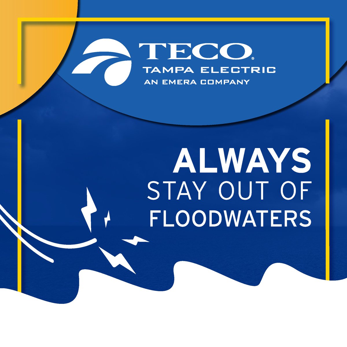 Tampa Electric tweet media