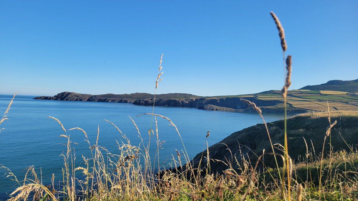 Charlie NJ7V tweet media