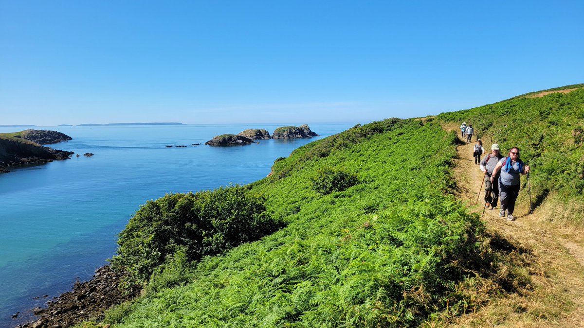 Charlie NJ7V tweet media