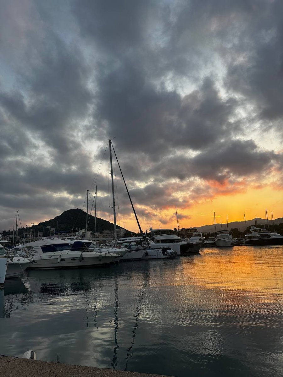 Sen.BLACK🖤 (@senatorblack2) on Twitter photo 