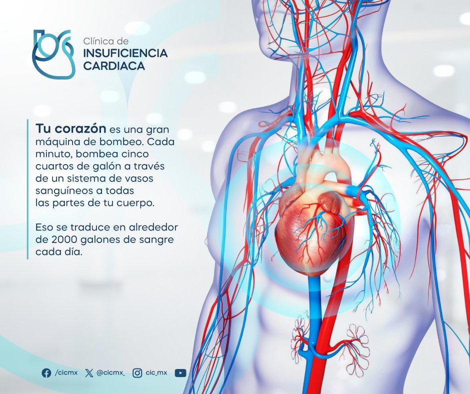 #Conocimiento_CIC
¿Sabes cómo funciona tu corazón al bombear sangre?
#CIC_Mx #InsuficienciaCardíaca #EspecialistasEnIC 
👉¿Necesitas una valoración médica?
☎ 33 3621 0808
📱 WhatsApp 3316031390
📍 Blvd. Puerta De Hierro 5090 Piso 1, S/N Col. Puerta de Hierro, #Zapopan, Jal.
