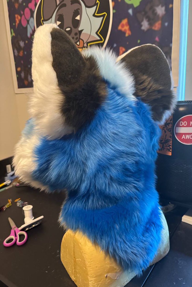 CoyoteArcade's tweet image. Loving these colors 💙🤎🤍