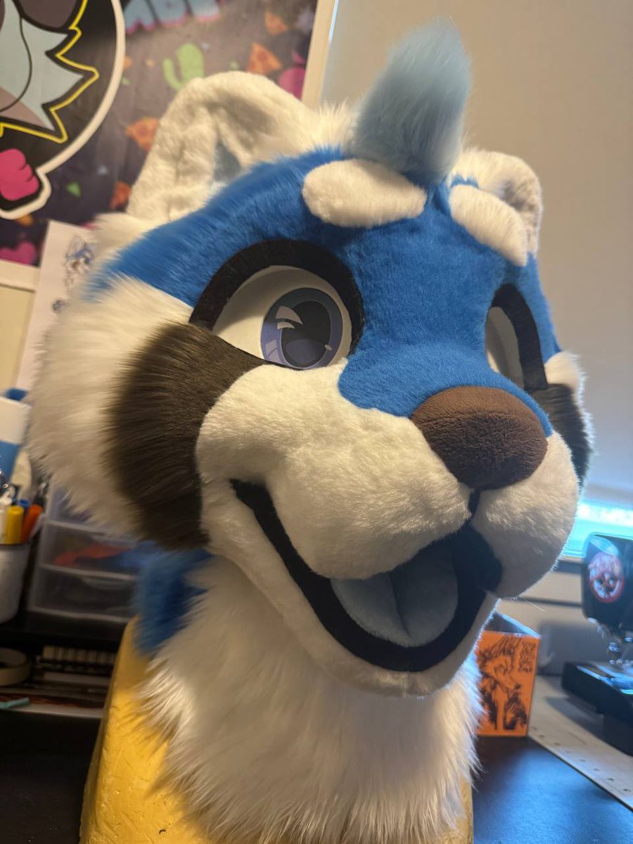 CoyoteArcade's tweet image. Loving these colors 💙🤎🤍