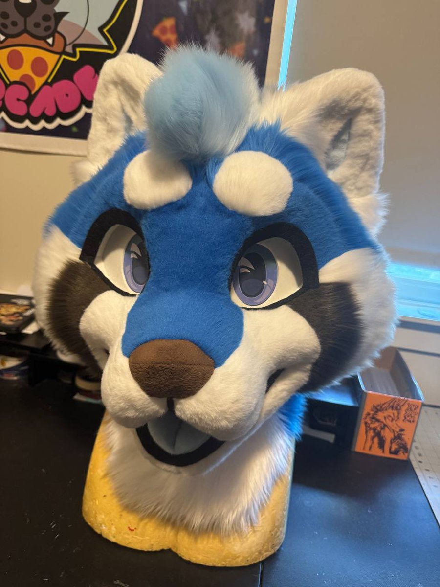 CoyoteArcade's tweet image. Loving these colors 💙🤎🤍