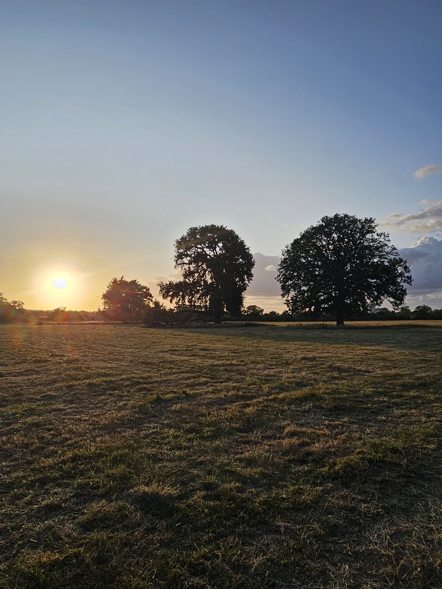 annaJones980's tweet image. A peaceful scene… missing only the soothing soundtrack of gunfire 😆
#TreeClub 🌳