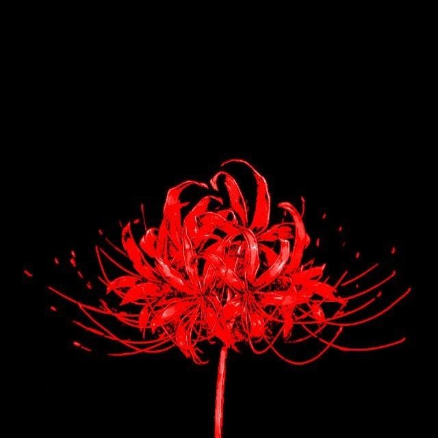 Tamayo_demon77's tweet image. "𝑻𝒉𝒊𝒔 𝒎𝒊𝒓𝒂𝒄𝒍𝒆 𝒘𝒊𝒍𝒍 𝒃𝒆 𝒕𝒉𝒆 𝒌𝒆𝒚 𝒕𝒐 𝒇𝒊𝒏𝒅𝒊𝒏𝒈 𝒂 𝒔𝒐𝒍𝒖𝒕𝒊𝒐𝒏"