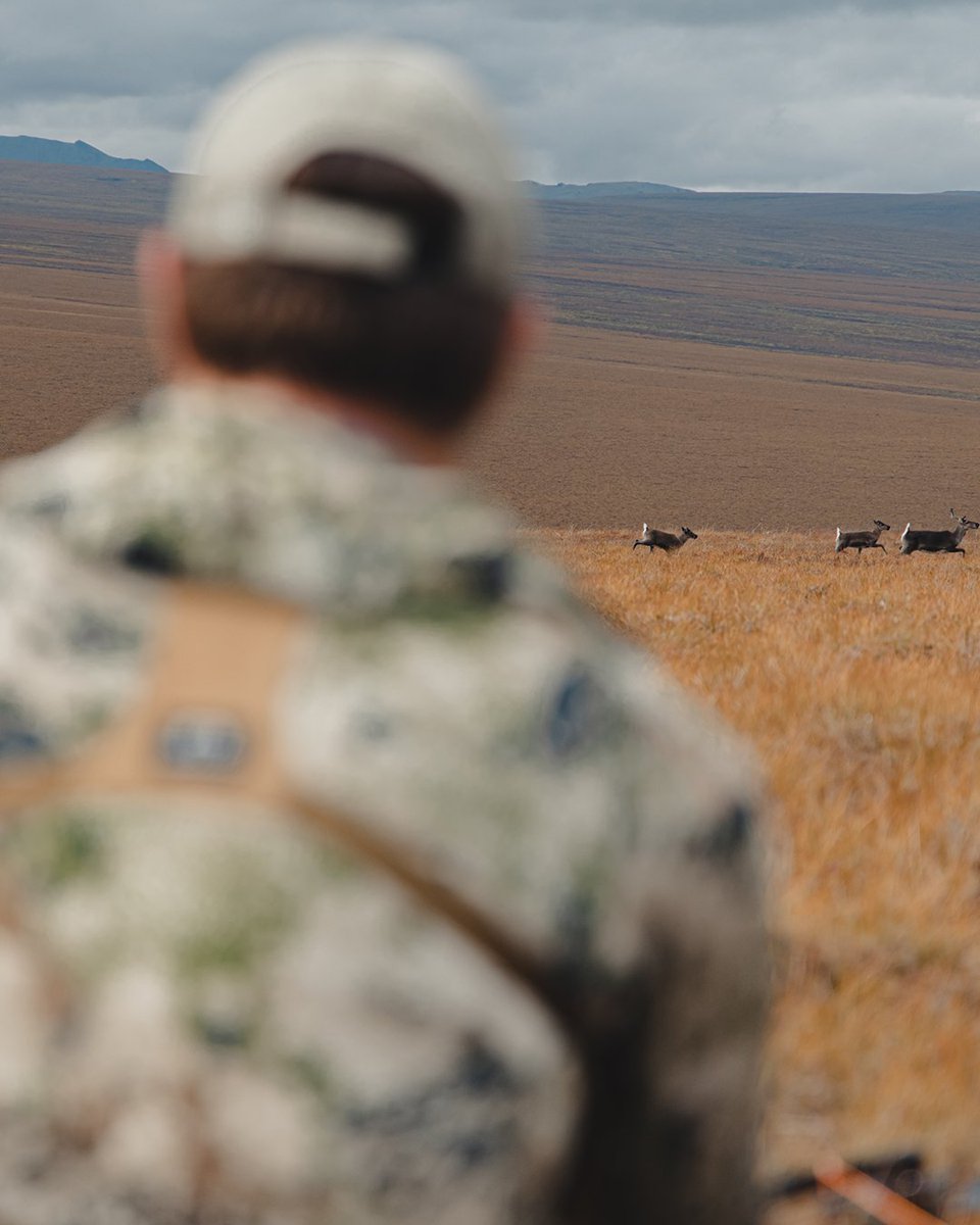 GOHUNT's tweet image. A story through photos. 

#gohunt