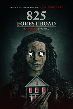 I watched this one today. It wasn't as good as I had hoped. It was a bit slow and there weren't enough scares. It wasn't awful but I wouldn't want to see  it again.