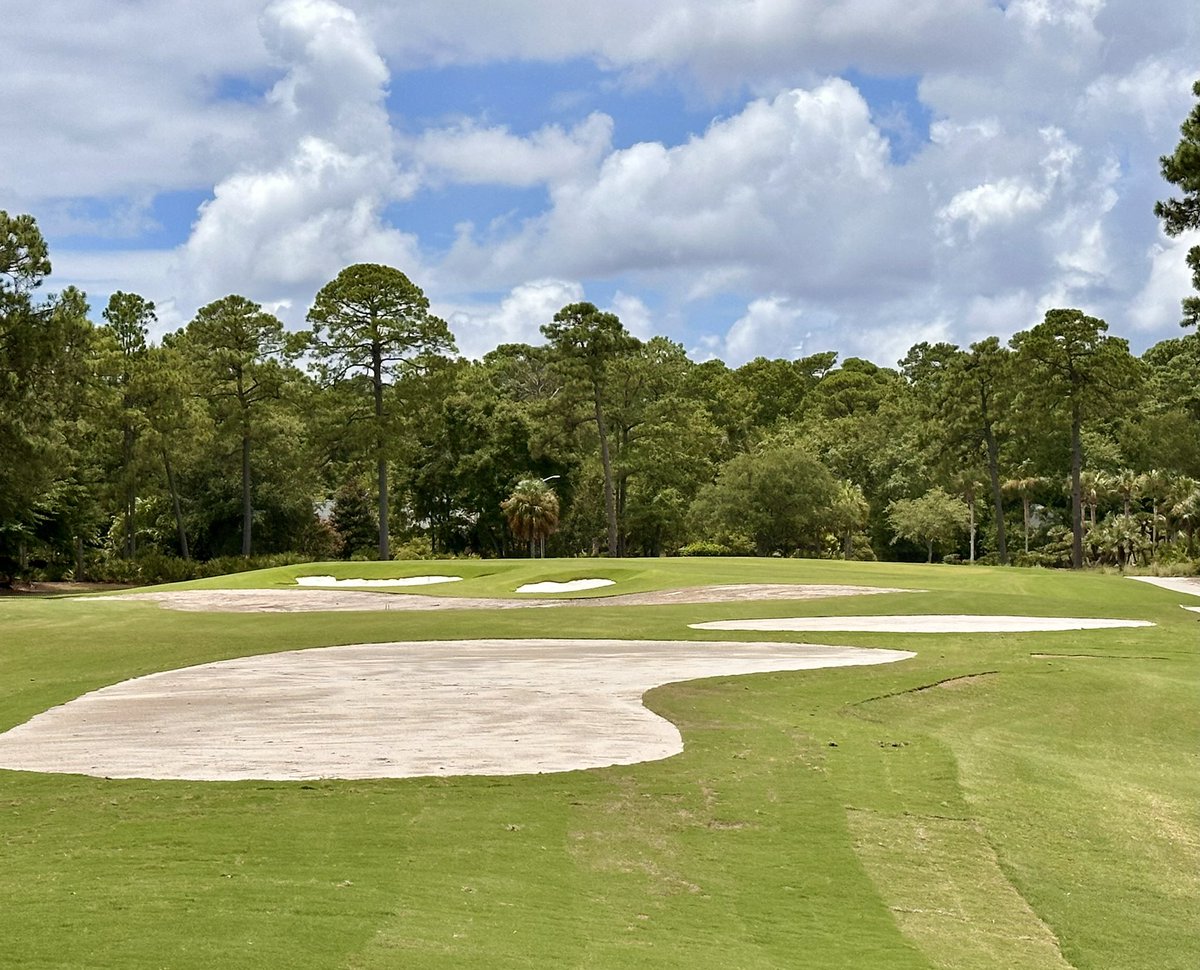 bergingolf's tweet image. Newly fashioned par three at The Landings - Oakridge! Growing in nicely!