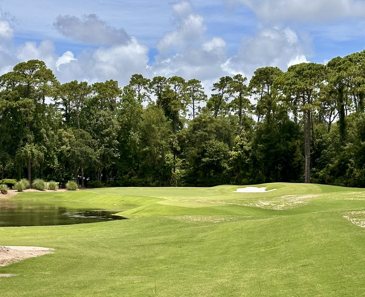 bergingolf's tweet image. Newly fashioned par three at The Landings - Oakridge! Growing in nicely!