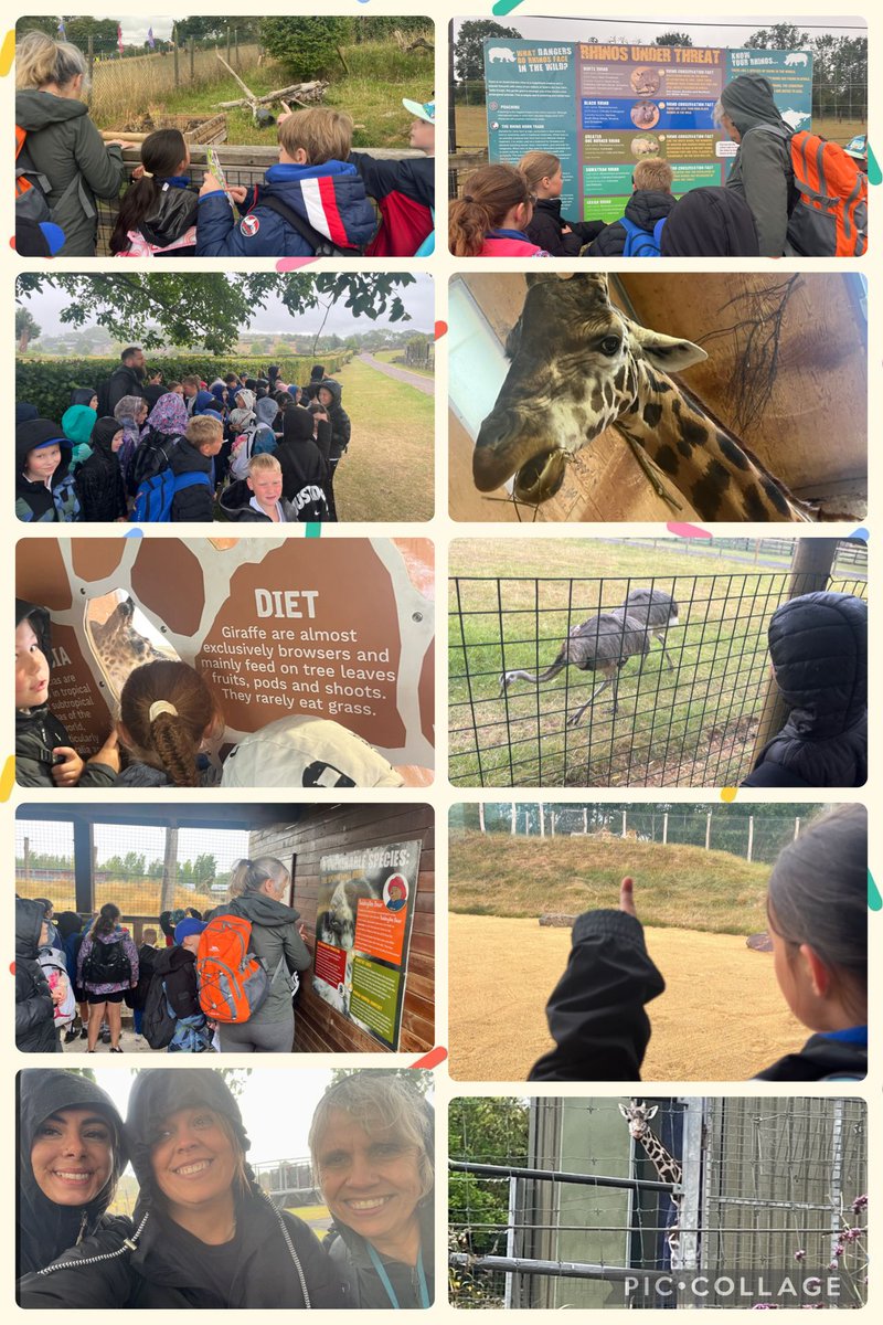 We really enjoyed our trip to Noah's Ark today with Year 3 - rather wet and windy at times but we all had lots of fun!