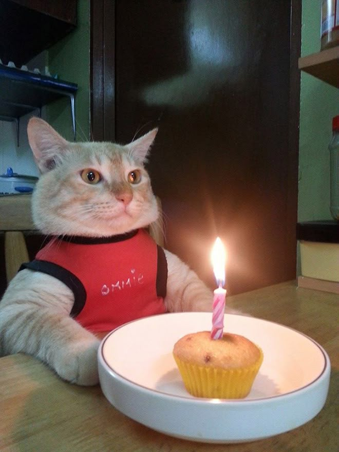 +1 🎉
