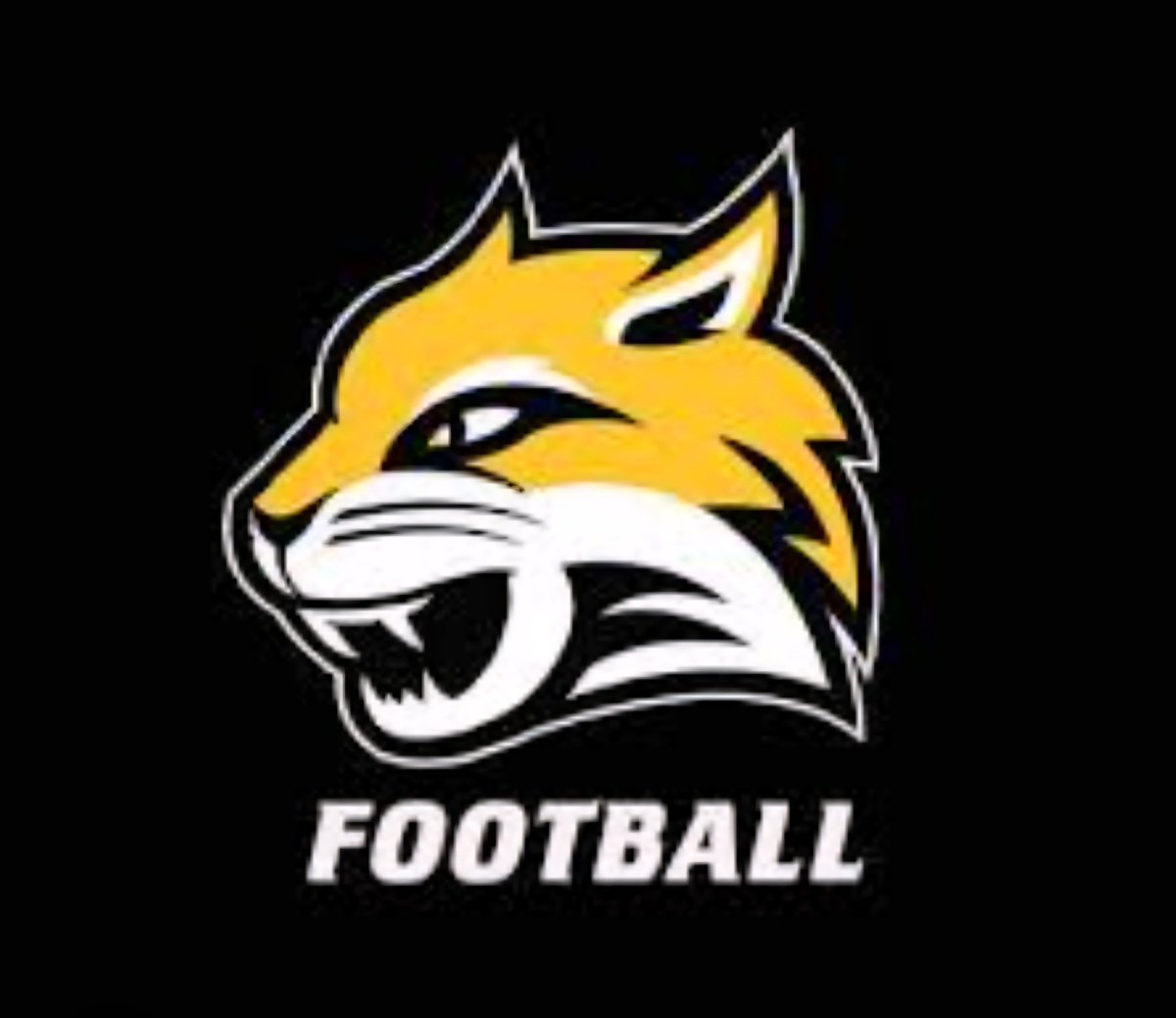 JadenUbben's tweet image. After a great visit today, I'm thankful to receive an offer to play for @WayneStFootball. Thanks coaches! @LMasters8 @willanglin13 @COACHMCLAU
@Football_CF @D1Apex