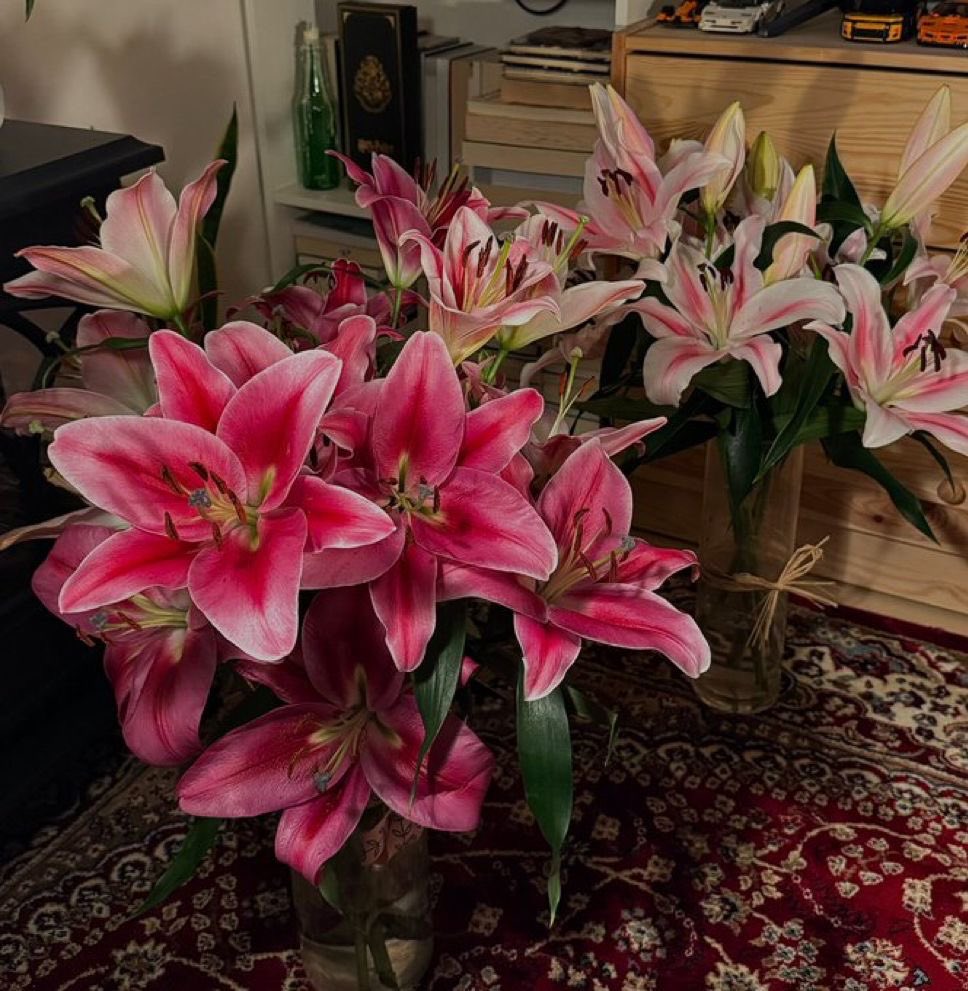 i3Moment's tweet photo. Lilies https://t.co/cKRcq7VOA4