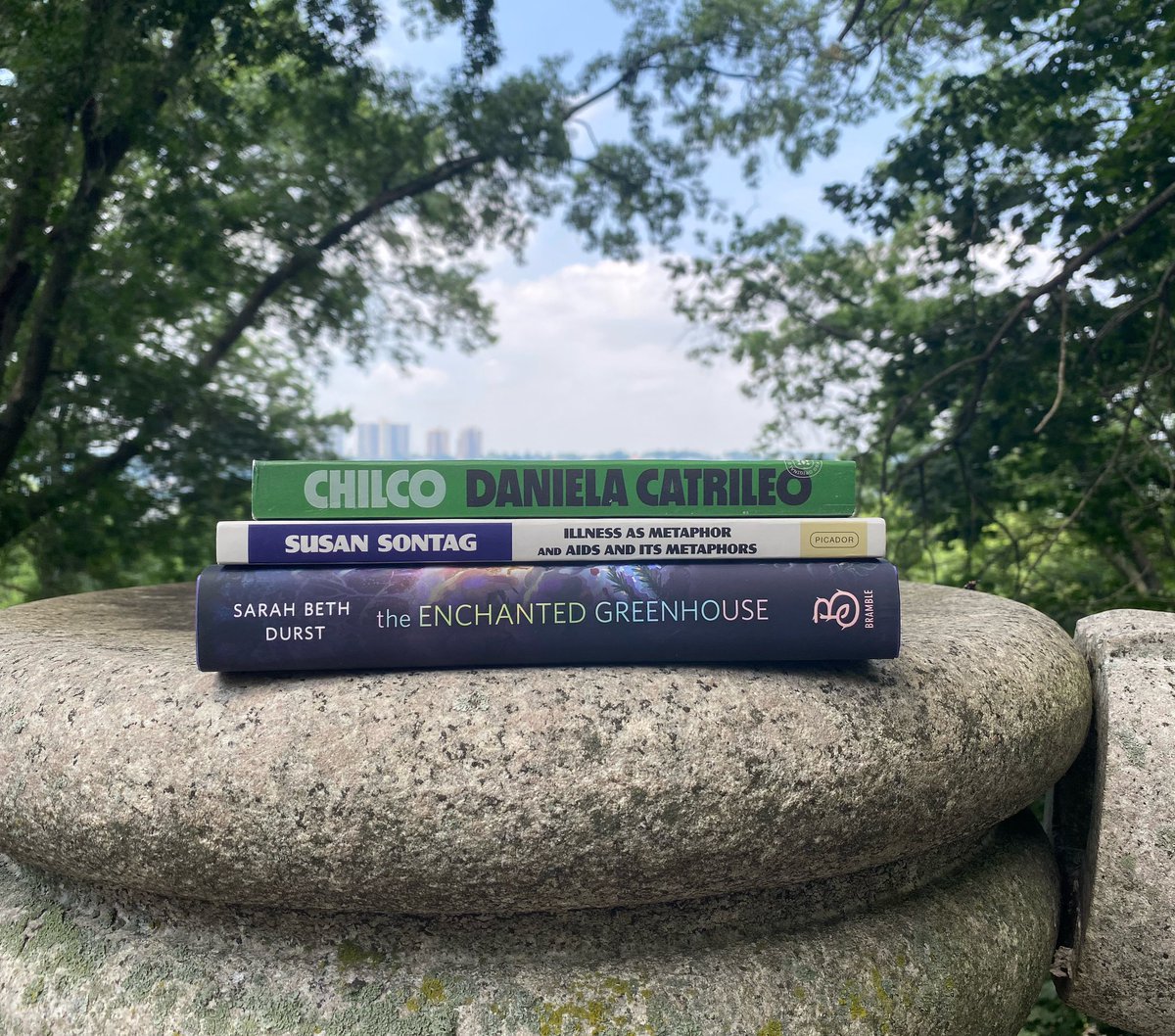 macmillanreads's tweet image. Happy #BookBirthday to @sarahbethdurst , @DanielaCatrileo , 
@edelstein_jh , Susan Sontag, and all other authors and translators with books out today!