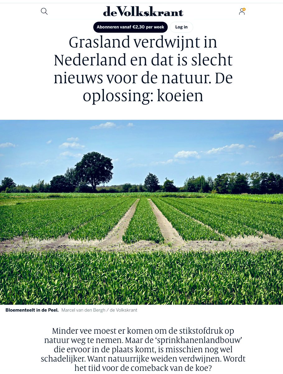 Nu in De Speld..

😅🫣🫣