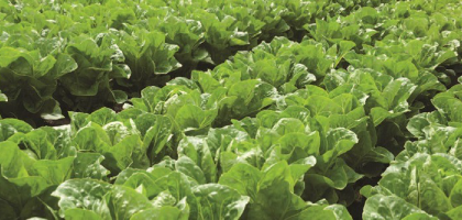 DavisControls's tweet image. linkedin.com/feed/update/ur…

Compressed air is essential in food processing and packaging, but if it’s not properly treated, can introduce harmful contaminants into your production line, and the impact can be serious!

#FoodSafety #CompressedAir #Manufacturing #QualityControl