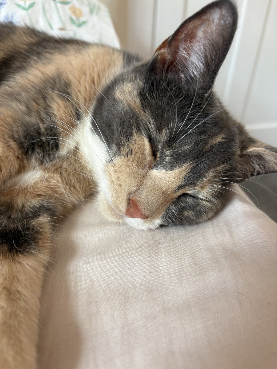 nelliewelliewoo's tweet image. me bein softly cuddle girl wif Least Favourit Mumie coz i am so kindly