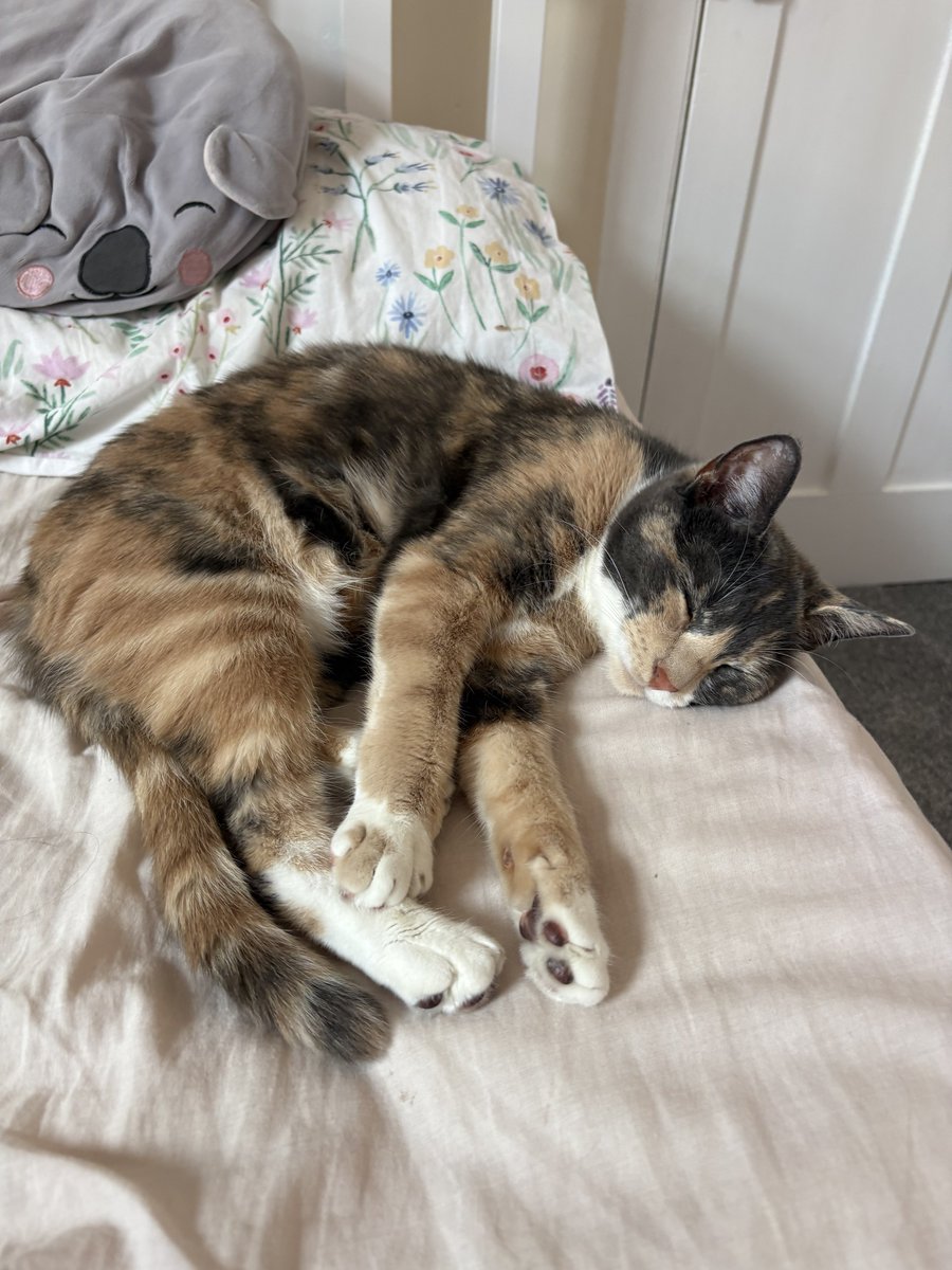 nelliewelliewoo's tweet image. me bein softly cuddle girl wif Least Favourit Mumie coz i am so kindly
