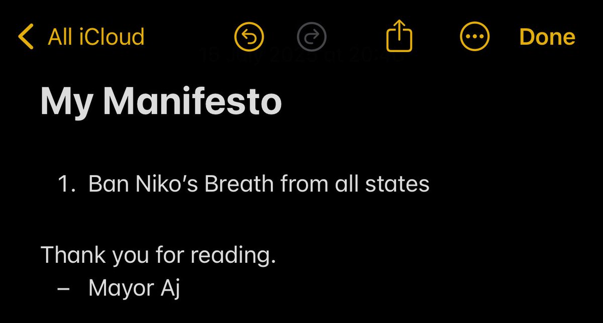 Now that I am Mayor here is my manifesto