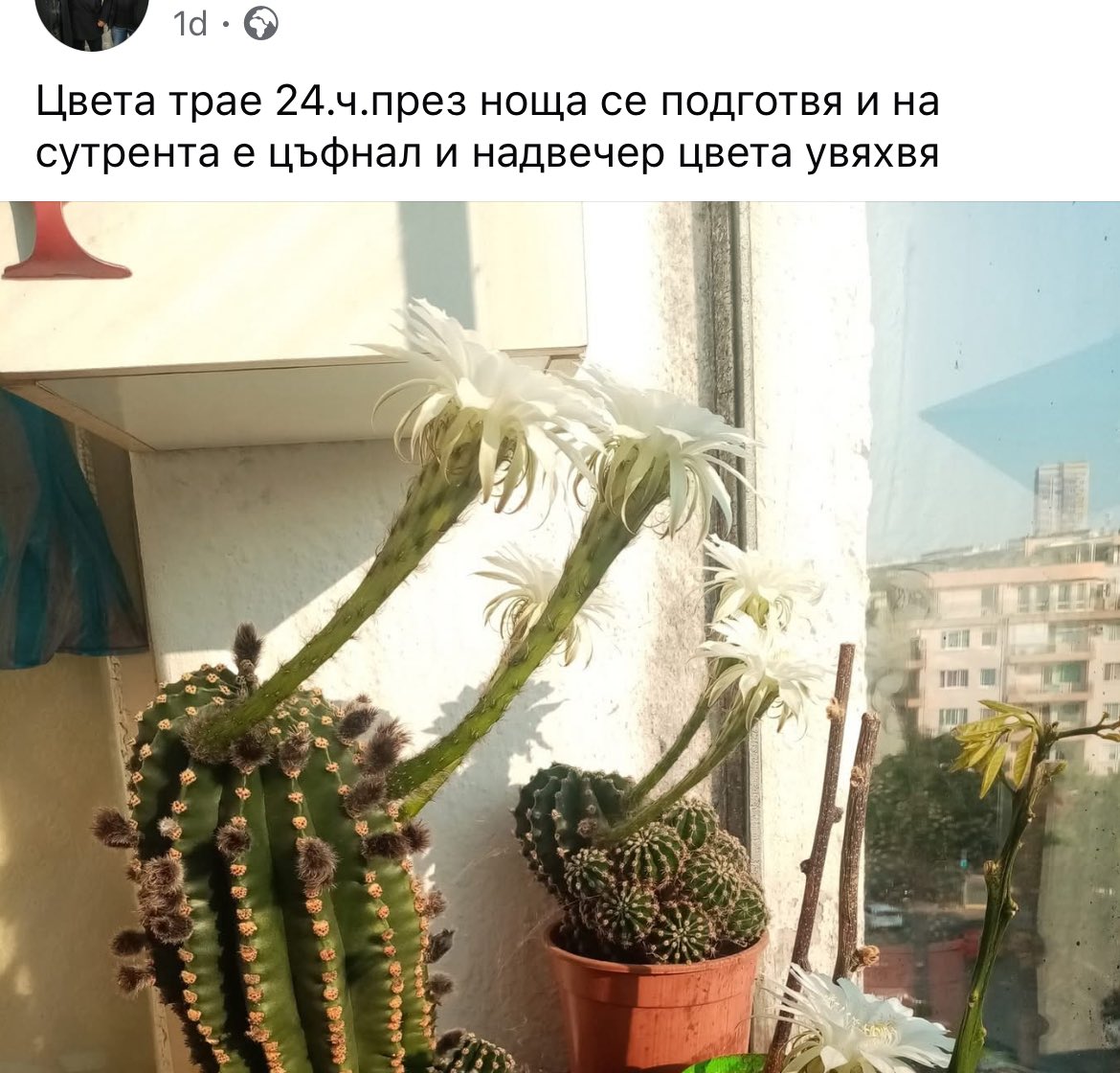 milototo's tweet image. Лично аз ето това бих го дала на матурата