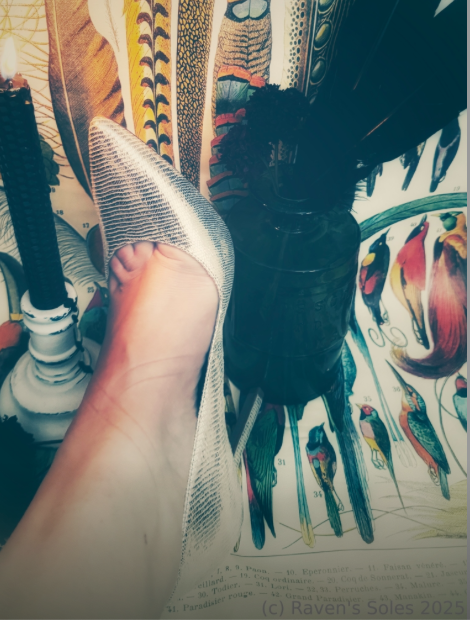 RavensSoles's tweet photo. My Loves, Would love 2 know if my soles excite u still in enclosed heels? Take the poll here https://t.co/20MaRKjTOF I may accommodate your viewing desires & sign-up 4 a 7 day FREE trial! #footfetish #feetfetish #romanticallydark #oddities #feetphotos #onlyfans #feetfinder https://t.co/Do9IrRObux