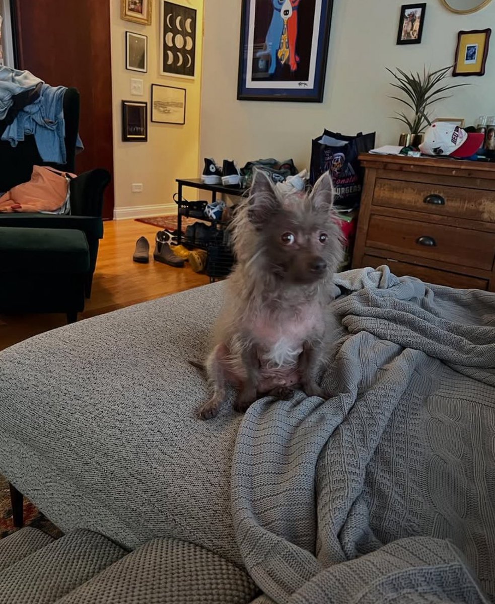 WindGodAB's tweet image. Eu amo ele, espero que ele saiba