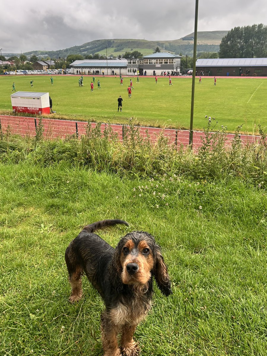 Ralph at Rossendale v Charnock Richard <a href="/nonleaguedogs/">nonleaguedogs</a>