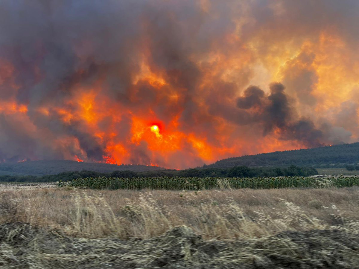 Yıllardır bıkmadan usanmadan sık sık söylüyorum.
Çağın şartlarıyla uyum sağlamayan sistemlerle orman yangınlarıyla mücadelede başarılı olabilmek mümkün değildir.
Kamunun tüm gücünü hızla ve tek merkezden koordine edebilecek yeni sistemlerin inşaası kaçınılmaz olmuştur.
#yangınvar