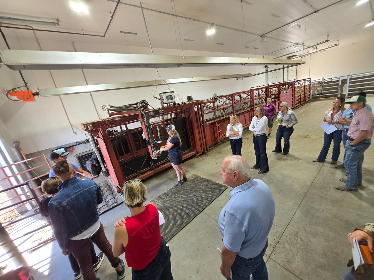 ACFA was proud to welcome US State Legislators from CA, ID, MT, OR &amp; WA during Stampede week! We toured an Alberta feedlot to showcase the innovation, progress &amp; sustainability driving our cattle feeding industry. Thank you to Kolk Farms for hosting us! #CattleFeeders