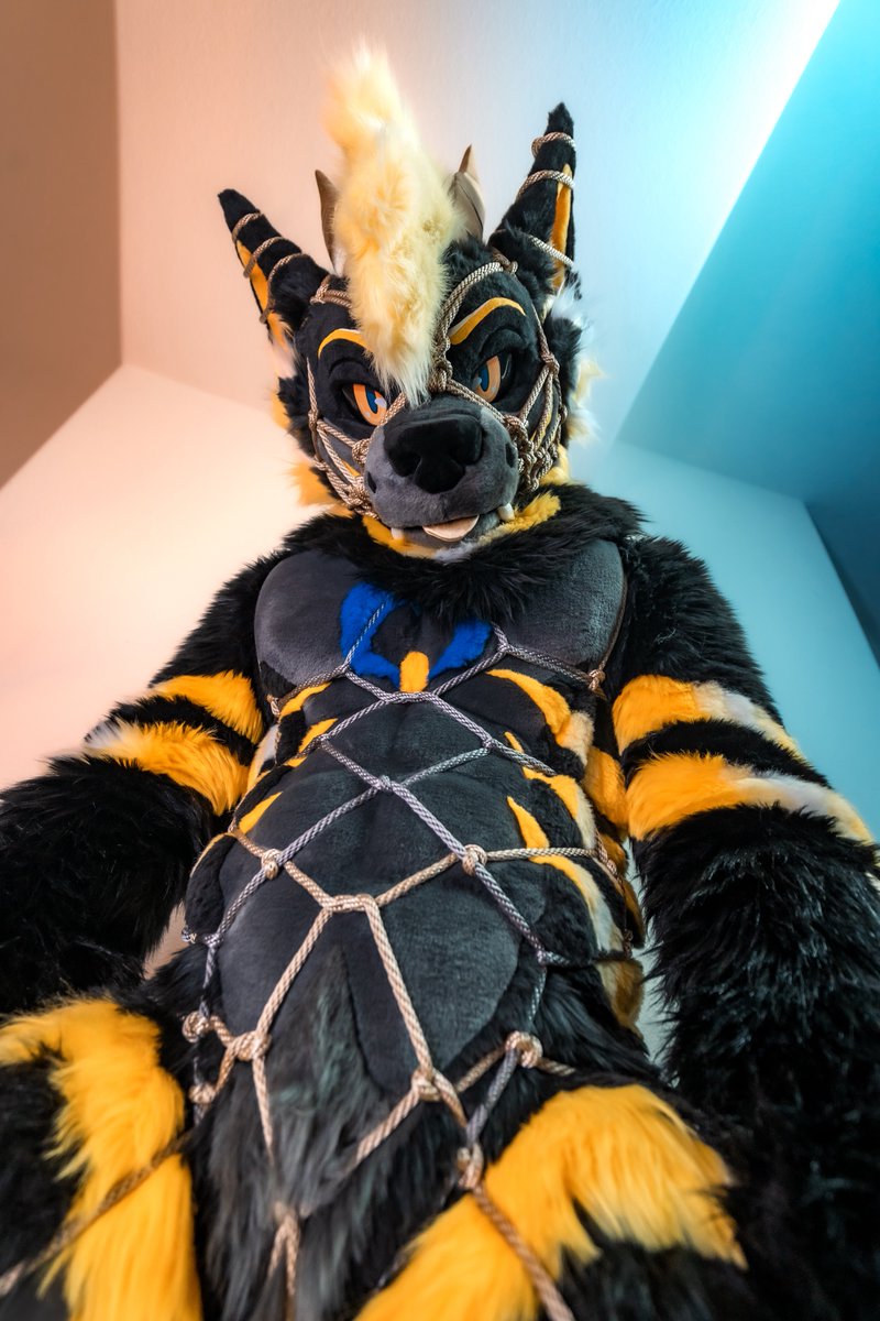 Oh lyte, i just myte 🍆💦
🧸:<a href="/lytelyonheart/">✨ Lyte ✨</a> 
📸:<a href="/ChatahSpots/">ミーゴー💢🔜AFC🇺🇲,SK🇰🇷,獸無限🇹🇼,ケモコン🇯🇵</a>