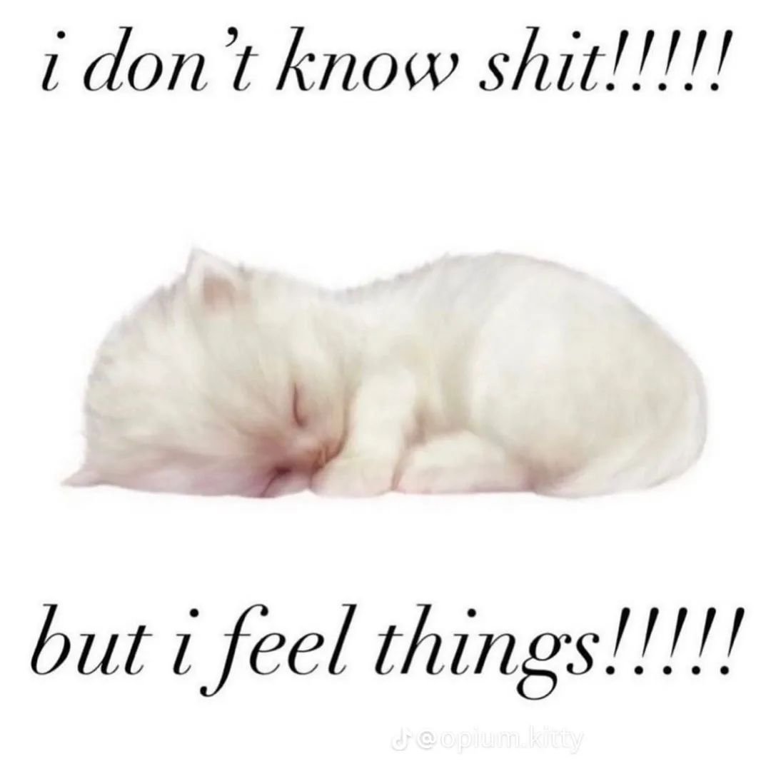 Punch Cat (@punchingcat) on Twitter photo 