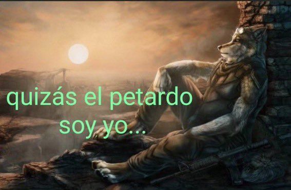 chincheto pirata somali (@wikipistacho) on Twitter photo 