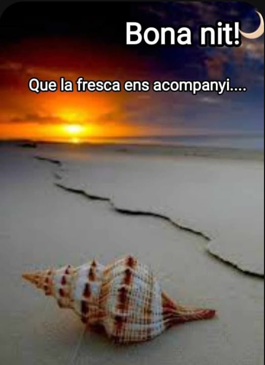 Bon descans ! 🌜😓⭐️