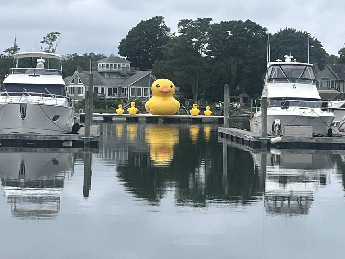 Sam Read (@nbc10_sam) on Twitter photo What the Duck?! 🐥 Since last year, a 20-ft duck has been randomly popping up on the water in North Kingstown. Recently, some babies were added! Turns out the owner of a local shipyard is responsible.. he does it for his grandkids & the community ! The story @530 <a href="/NBC10/">NBC 10 WJAR</a> What the Duck?! 🐥 Since last year, a 20-ft duck has been randomly popping up on the water in North Kingstown. Recently, some babies were added! Turns out the owner of a local shipyard is responsible.. he does it for his grandkids & the community ! The story @530 <a href="/NBC10/">NBC 10 WJAR</a>