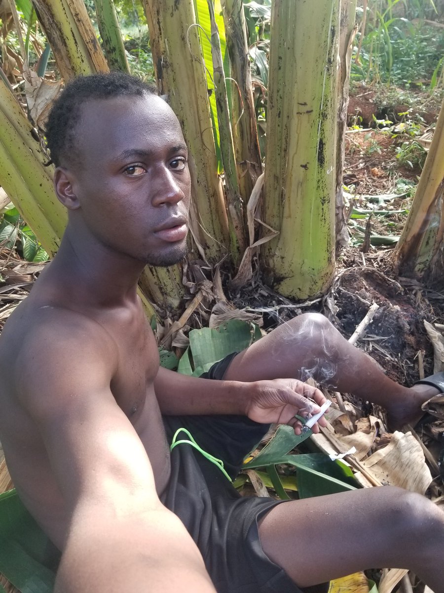 anonymousweb90's tweet image. You only know about web3 on your Village