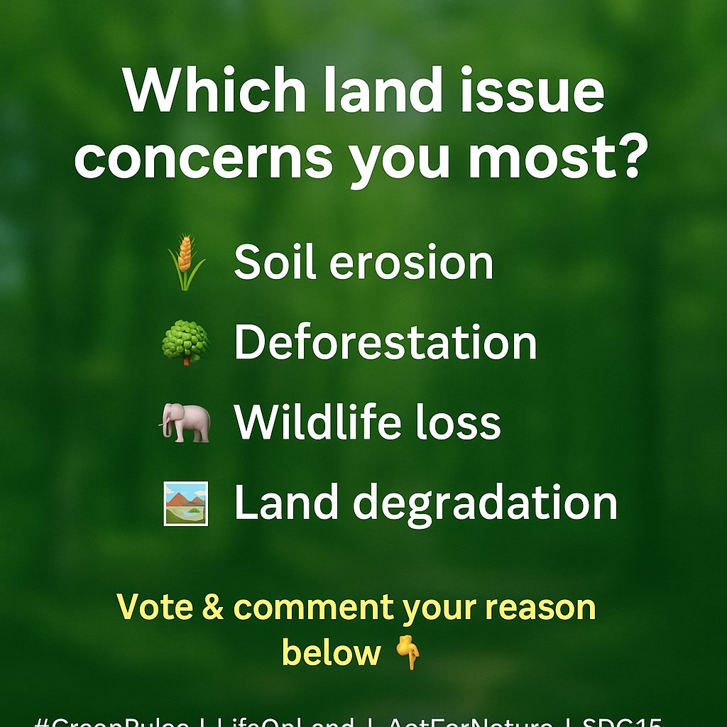 FaithNzemb12116's tweet photo. Let's vote and comment
#GreenPulse #LifeOnLand #ActForNature #SDG15 #StopDeforestation #SaveOurSoil #ProtectWildlife #RestoreLand #NatureMatters #PollOfTheDay #HaveYourSay #SpeakForNature #SustainableFuture https://t.co/h5JGFlKX5y