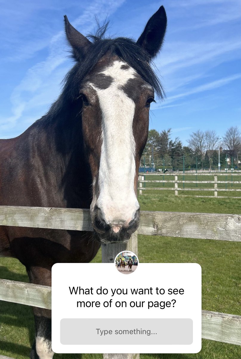 Mer Pol Mounted tweet media